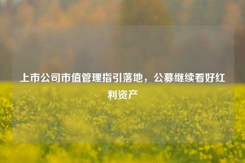 上市公司市值管理指引落地，公募继续看好红利资产