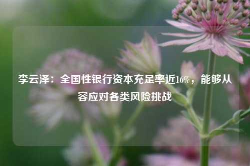 李云泽：全国性银行资本充足率近16%，能够从容应对各类风险挑战