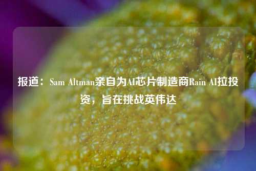 报道：Sam Altman亲自为AI芯片制造商Rain AI拉投资，旨在挑战英伟达