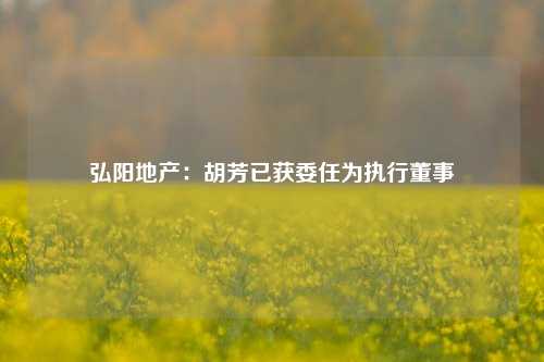 弘阳地产：胡芳已获委任为执行董事