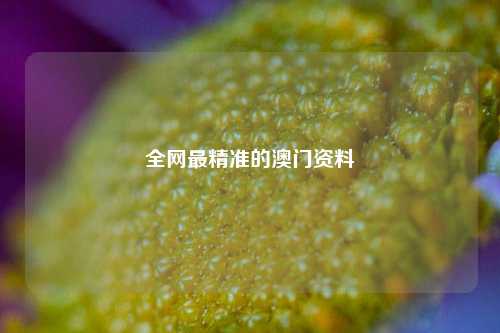 全网最精准的澳门资料