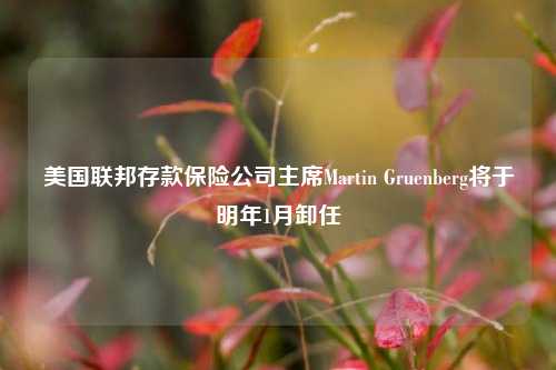 美国联邦存款保险公司主席Martin Gruenberg将于明年1月卸任