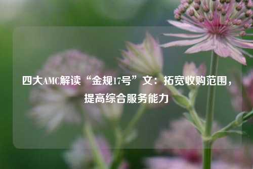 四大AMC解读“金规17号”文：拓宽收购范围，提高综合服务能力