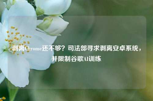 剥离Chrome还不够？司法部寻求剥离安卓系统，并限制谷歌AI训练