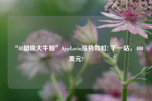 “AI超级大牛股”AppLovin涨势如虹! 下一站，400美元?