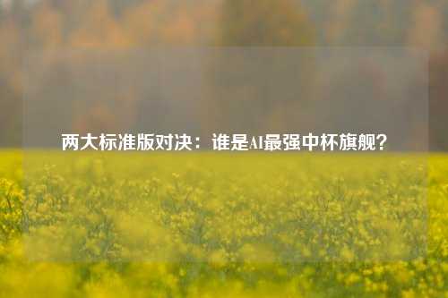 两大标准版对决：谁是AI最强中杯旗舰？