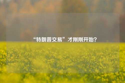 “特朗普交易”才刚刚开始？