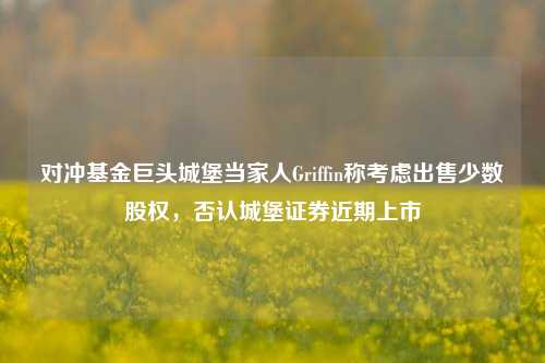 对冲基金巨头城堡当家人Griffin称考虑出售少数股权，否认城堡证券近期上市