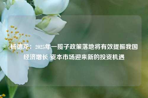 杨德龙：2025年一揽子政策落地将有效提振我国经济增长 资本市场迎来新的投资机遇