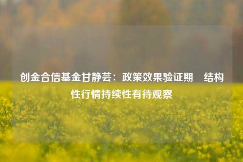 创金合信基金甘静芸：政策效果验证期 结构性行情持续性有待观察