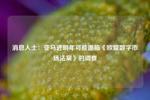 消息人士：亚马逊明年可能面临《欧盟数字市场法案》的调查