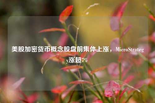 美股加密货币概念股盘前集体上涨，MicroStrategy涨超7%