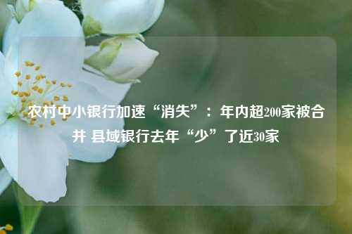 农村中小银行加速“消失”：年内超200家被合并 县域银行去年“少”了近30家