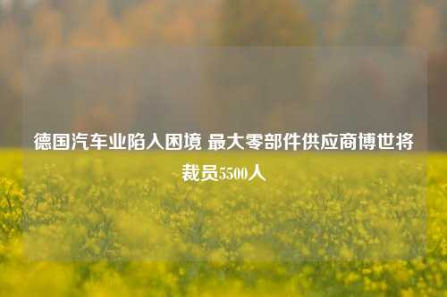 德国汽车业陷入困境 最大零部件供应商博世将裁员5500人