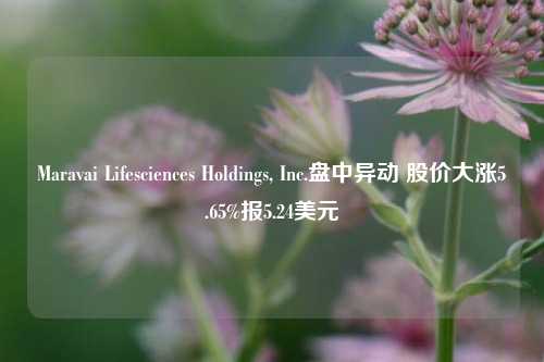 Maravai Lifesciences Holdings, Inc.盘中异动 股价大涨5.65%报5.24美元