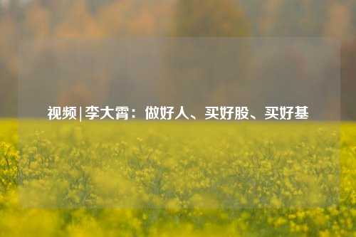 视频|李大霄：做好人、买好股、买好基