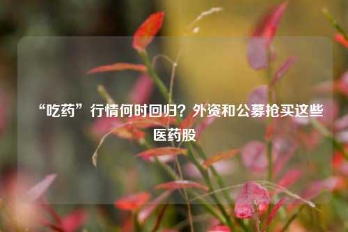 “吃药”行情何时回归？外资和公募抢买这些医药股