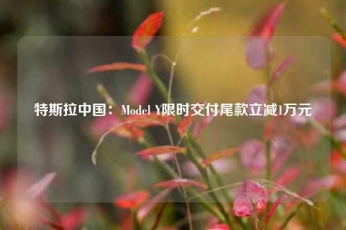 特斯拉中国：Model Y限时交付尾款立减1万元