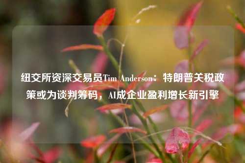 纽交所资深交易员Tim Anderson：特朗普关税政策或为谈判筹码，AI成企业盈利增长新引擎