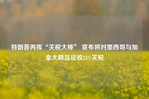 特朗普再挥“关税大棒” 宣布将对墨西哥与加拿大商品征收25%关税