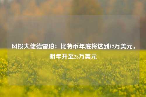 风投大佬德雷珀：比特币年底将达到12万美元，明年升至25万美元