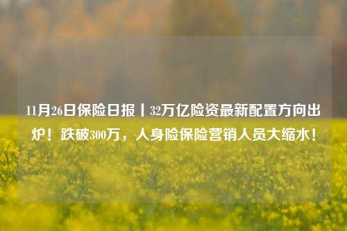 11月26日保险日报丨32万亿险资最新配置方向出炉！跌破300万，人身险保险营销人员大缩水！