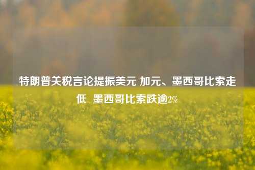 特朗普关税言论提振美元 加元、墨西哥比索走低  墨西哥比索跌逾2%