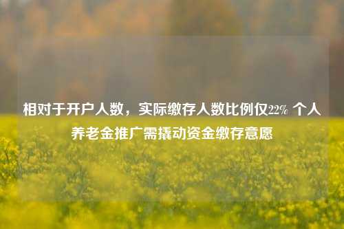 相对于开户人数，实际缴存人数比例仅22% 个人养老金推广需撬动资金缴存意愿