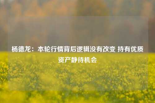 杨德龙：本轮行情背后逻辑没有改变 持有优质资产静待机会