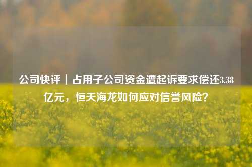 公司快评︱占用子公司资金遭起诉要求偿还3.38亿元，恒天海龙如何应对信誉风险？