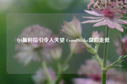 Q4盈利指引令人失望 CrowdStrike盘后走低