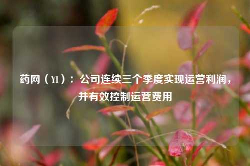 药网（YI）：公司连续三个季度实现运营利润，并有效控制运营费用