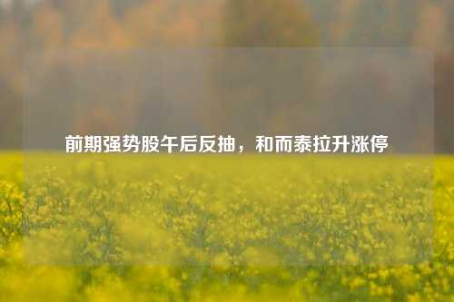 前期强势股午后反抽，和而泰拉升涨停