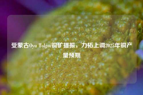 受蒙古Oyu Tolgoi铜矿提振，力拓上调2025年铜产量预期