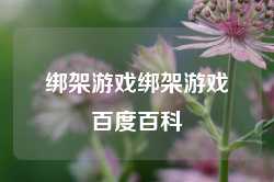 绑架游戏绑架游戏百度百科