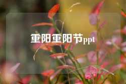 重阳重阳节ppt