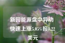 新园能源盘中异动 快速上涨5.05%报8.22美元