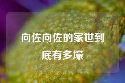 向佐向佐的家世到底有多壕