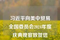 习近平向美中贸易全国委员会2024年度庆典晚宴致贺信