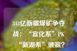 343亿新疆煤矿争夺战：“宜化系”PK“新湖系”谁赢？