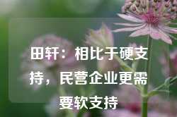 田轩：相比于硬支持，民营企业更需要软支持