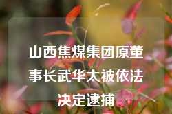 山西焦煤集团原董事长武华太被依法决定逮捕