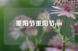 重阳节重阳节ppt