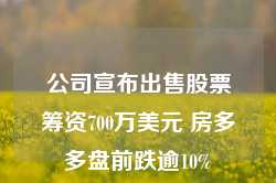 公司宣布出售股票筹资700万美元 房多多盘前跌逾10%