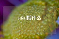 etfetf指什么