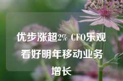 优步涨超2% CFO乐观看好明年移动业务增长