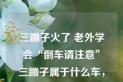 三蹦子火了 老外学会“倒车请注意”三蹦子属于什么车，三蹦子热潮，老外学会倒车请注意的背后，揭示三蹦子的魅力与文化