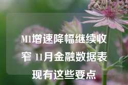 M1增速降幅继续收窄 11月金融数据表现有这些要点