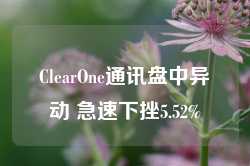 ClearOne通讯盘中异动 急速下挫5.52%