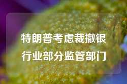 特朗普考虑裁撤银行业部分监管部门